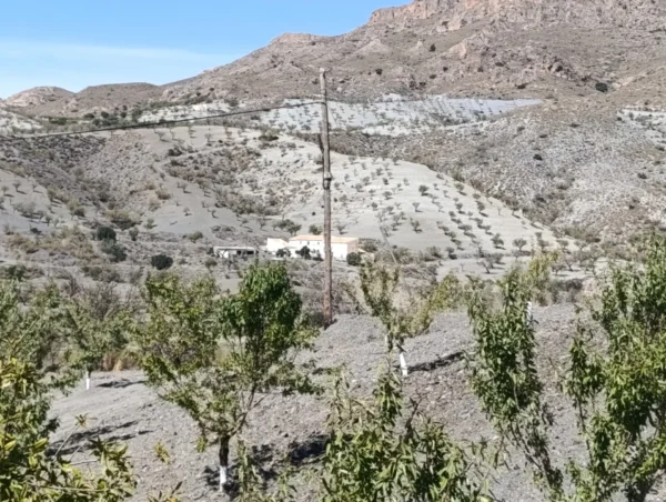 Casa 12 hectáreas en Alquiler en Taberno (Almería) - Imagen 2