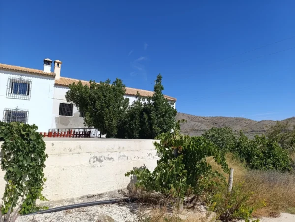 Casa 12 hectáreas en Alquiler en Taberno (Almería)