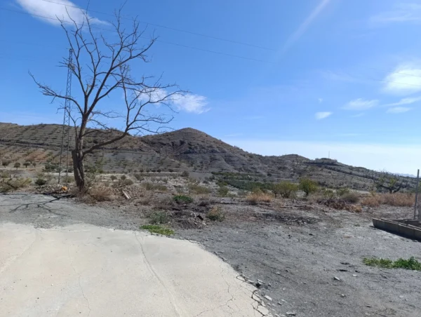 Casa 12 hectáreas en Alquiler en Taberno (Almería) - Imagen 4