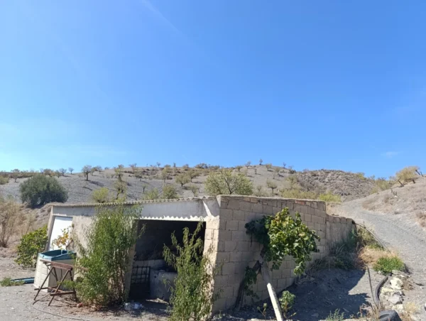 Casa 12 hectáreas en Alquiler en Taberno (Almería) - Imagen 5