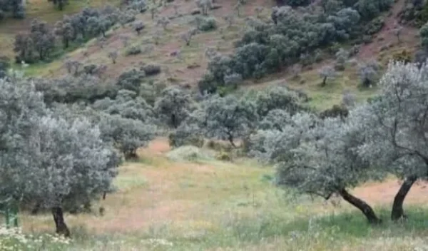 Venta gran propiedad en Córdoba pozo blanco - Imagen 13