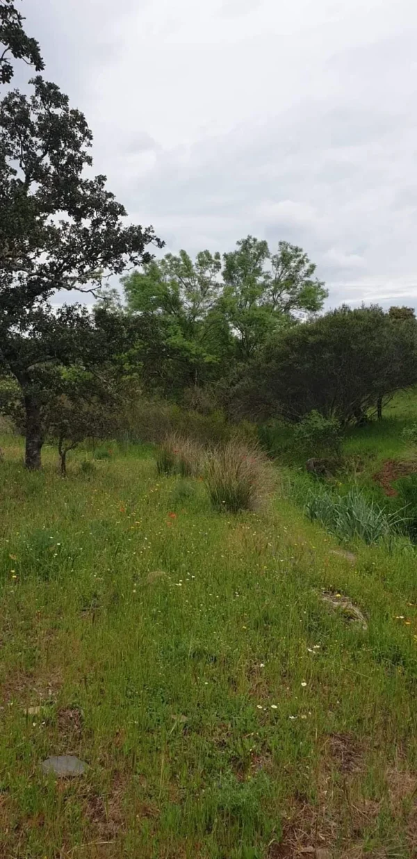 Venta gran propiedad en Córdoba pozo blanco - Imagen 5