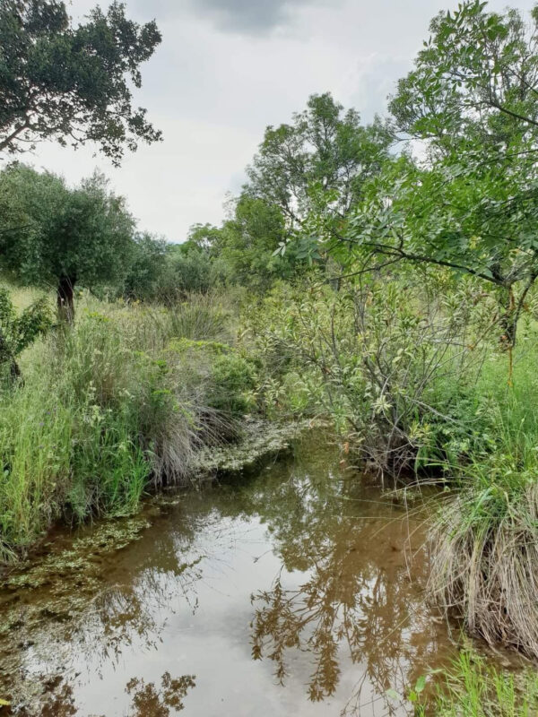 Venta gran propiedad en Córdoba pozo blanco - Imagen 6